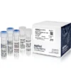 BigDye™ Terminator v1.1 Cycle Sequencing Kit