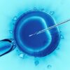 In Vitro Fertilization Tubes