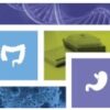 Focused cancer research